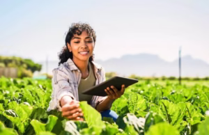 ACU Commonwealth Climate Resilience Challenge Grants 2025 (up to £3,000)