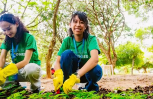 AFS Global STEM Academies 2025 (Scholarship available)