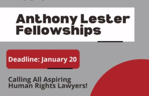 Anthony Lester Fellowship 2025-2026 ($25,000 stipend)