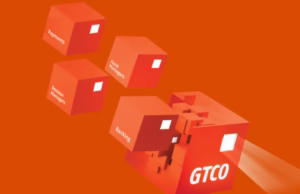 GTCO Summer Internship Program 2025 for Africans
