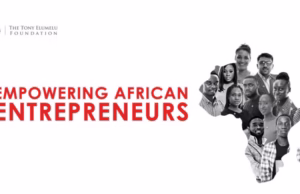 Tony Elumelu Foundation Entrepreneurship Programme 2025 for African Entrepreneurs ($5,000 Seed Funding and more)