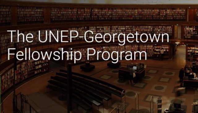 UNEP-Georgetown-Law-Global-Environment-and-Sustainability-Law-Fellowship-2025-2026-768x439