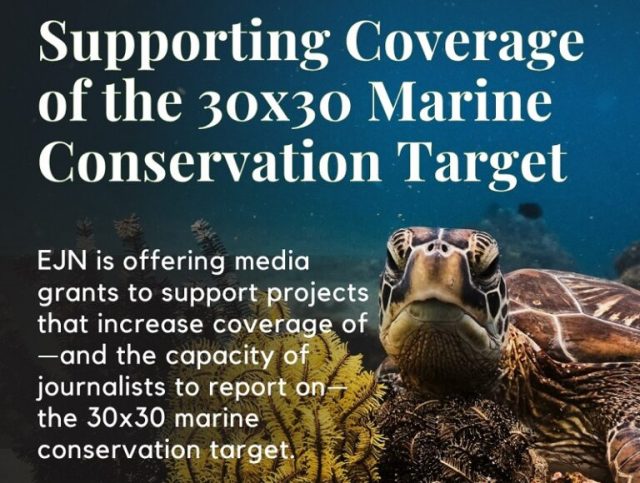 EJN-Media-Grants-to-Support-Coverage-of-Countries-Progress-Toward-the-30x30-Marine-Conservation-Target-2026-768x580