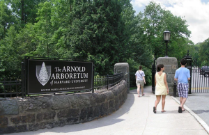 Arboretum Research Scholar Award 2026 (up to $10,000) arboretum-research-scholar-award-2026-(up-to-$10,000)