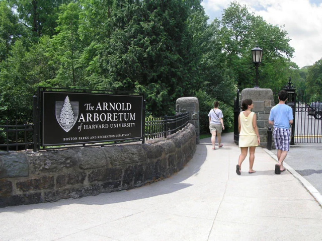 arboretum-research-scholar-award-2026-(up-to-$10,000)