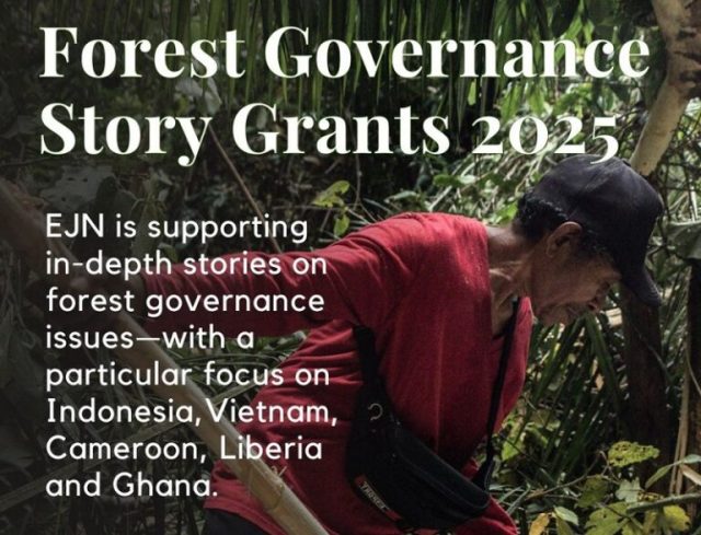 earth-journalism-network-(ejn)-forest-governance-story-grants-2025