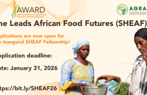 She Leads African Food Futures (SHEAF) Fellowship 2026 she-leads-african-food-futures-(sheaf)-fellowship-2026