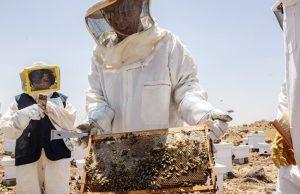 Food and Agriculture Organization of the United Nations (UN FAO) Partnership Award 2026 ($10,000 prize) food-and-agriculture-organization-of-the-united-nations-(un-fao)-partnership-award-2026-($10,000-prize)