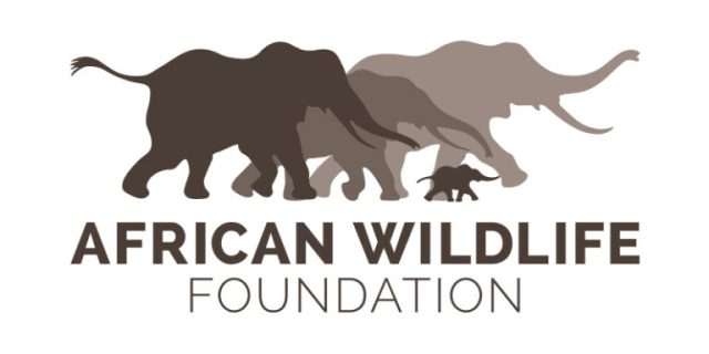 african-wildlife-foundation-(awf)-wall-policy-fellowship-2026
