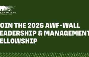 AWF-Wall Leadership & Management Fellowship 2026 awf-wall-leadership-&-management-fellowship-2026