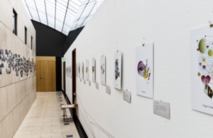 Alexander von Humboldt Institute for Internet & Society (HIIG) Internet and Society Fellowship 2026 alexander-von-humboldt-institute-for-internet-&-society-(hiig)-internet-and-society-fellowship-2026