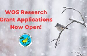 Wilson Ornithological Society Research Grants 2026 wilson-ornithological-society-research-grants-2026