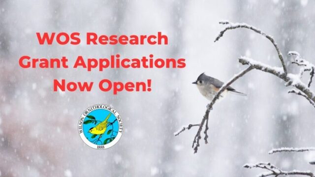 wilson-ornithological-society-research-grants-2026 wilson-ornithological-society-research-grants-2026