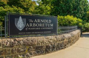DaRin Butz Research Internship Program 2026 at the Arnold Arboretum of Harvard University ($6,250 stipend) darin-butz-research-internship-program-2026-at-the-arnold-arboretum-of-harvard-university-($6,250-stipend)