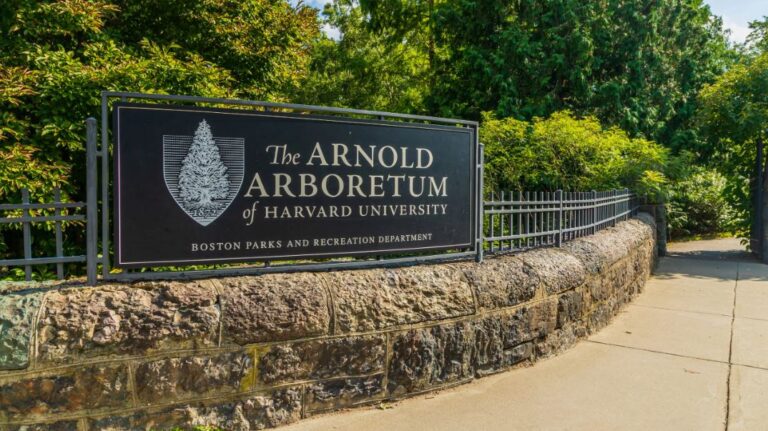 darin-butz-research-internship-program-2026-at-the-arnold-arboretum-of-harvard-university-($6,250-stipend) darin-butz-research-internship-program-2026-at-the-arnold-arboretum-of-harvard-university-($6,250-stipend)