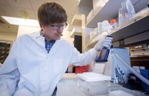 Fred Hutch Cancer Center Postdoctoral Research Fellows Program 2026 (Paid) fred-hutch-cancer-center-postdoctoral-research-fellows-program-2026-(paid)