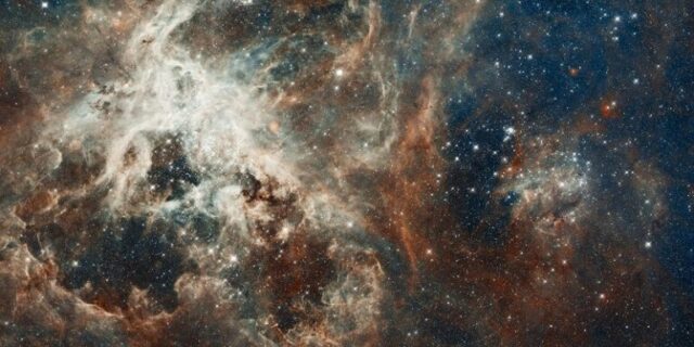 gruber-foundation-fellowship-in-astrophysics-2026-(up-to-$25,000) gruber-foundation-fellowship-in-astrophysics-2026-(up-to-$25,000)