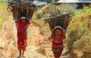 EJN Seed Grants for Media Outlets to Cover Natural Resource Management and Green Growth in Nepal 2026 ejn-seed-grants-for-media-outlets-to-cover-natural-resource-management-and-green-growth-in-nepal-2026