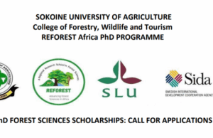 Fully Funded REFOREST Africa PhD Programme: PhD Forest Sciences Scholarships 2026 fully-funded-reforest-africa-phd-programme:-phd-forest-sciences-scholarships-2026