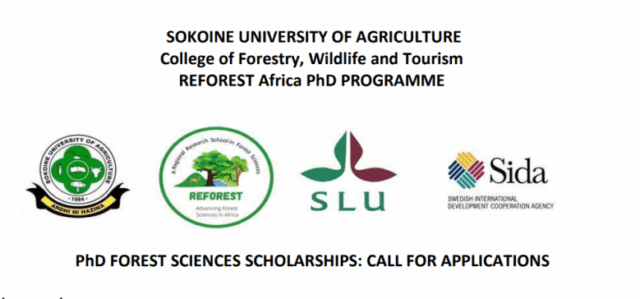 fully-funded-reforest-africa-phd-programme:-phd-forest-sciences-scholarships-2026