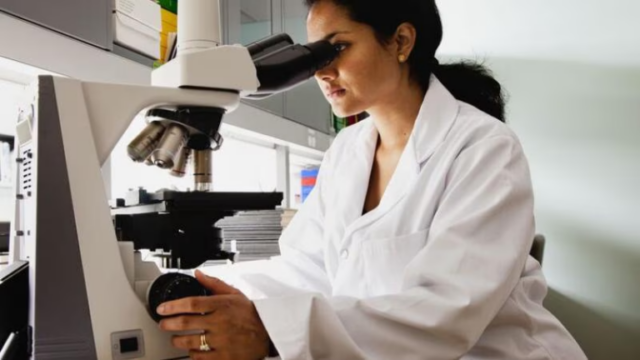 british-council-women-in-stem-scholarships-2026-2027 british-council-women-in-stem-scholarships-2026-2027